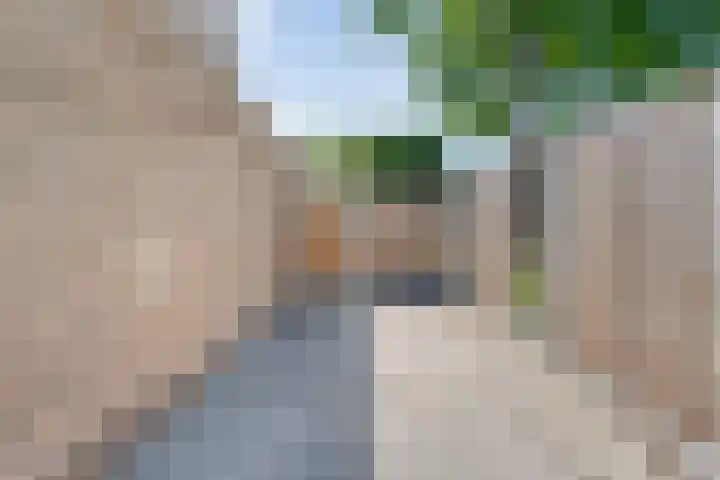 De Vossestaart 2 Dedemsvaart thumbnail 53