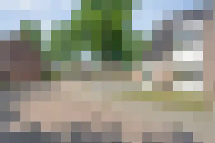 De Vossestaart 2 Dedemsvaart thumbnail 54