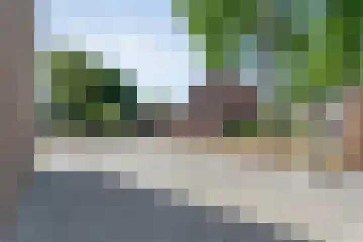 De Vossestaart 2 Dedemsvaart thumbnail 6