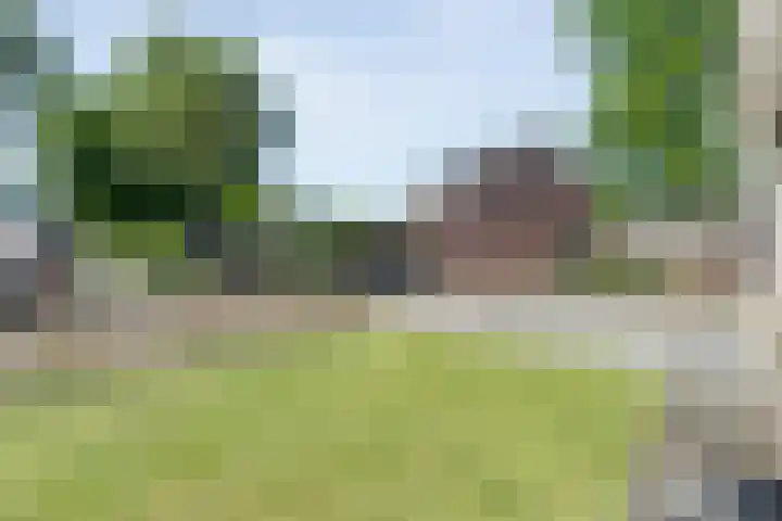 De Vossestaart 2 Dedemsvaart thumbnail 7