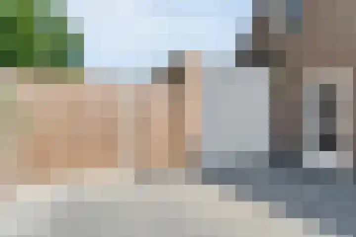 De Vossestaart 2 Dedemsvaart thumbnail 8