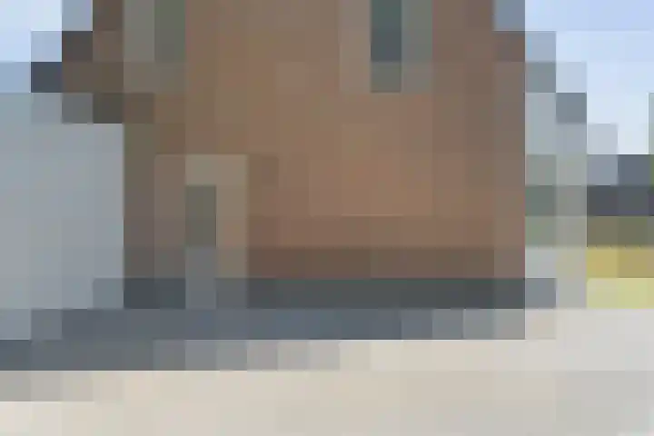 De Vossestaart 2 Dedemsvaart thumbnail 9