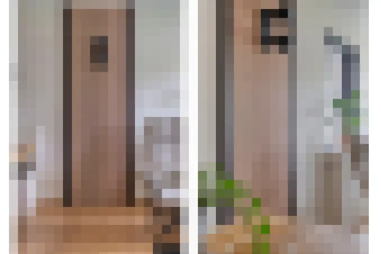 De Vossestaart 9 Dedemsvaart thumbnail 12
