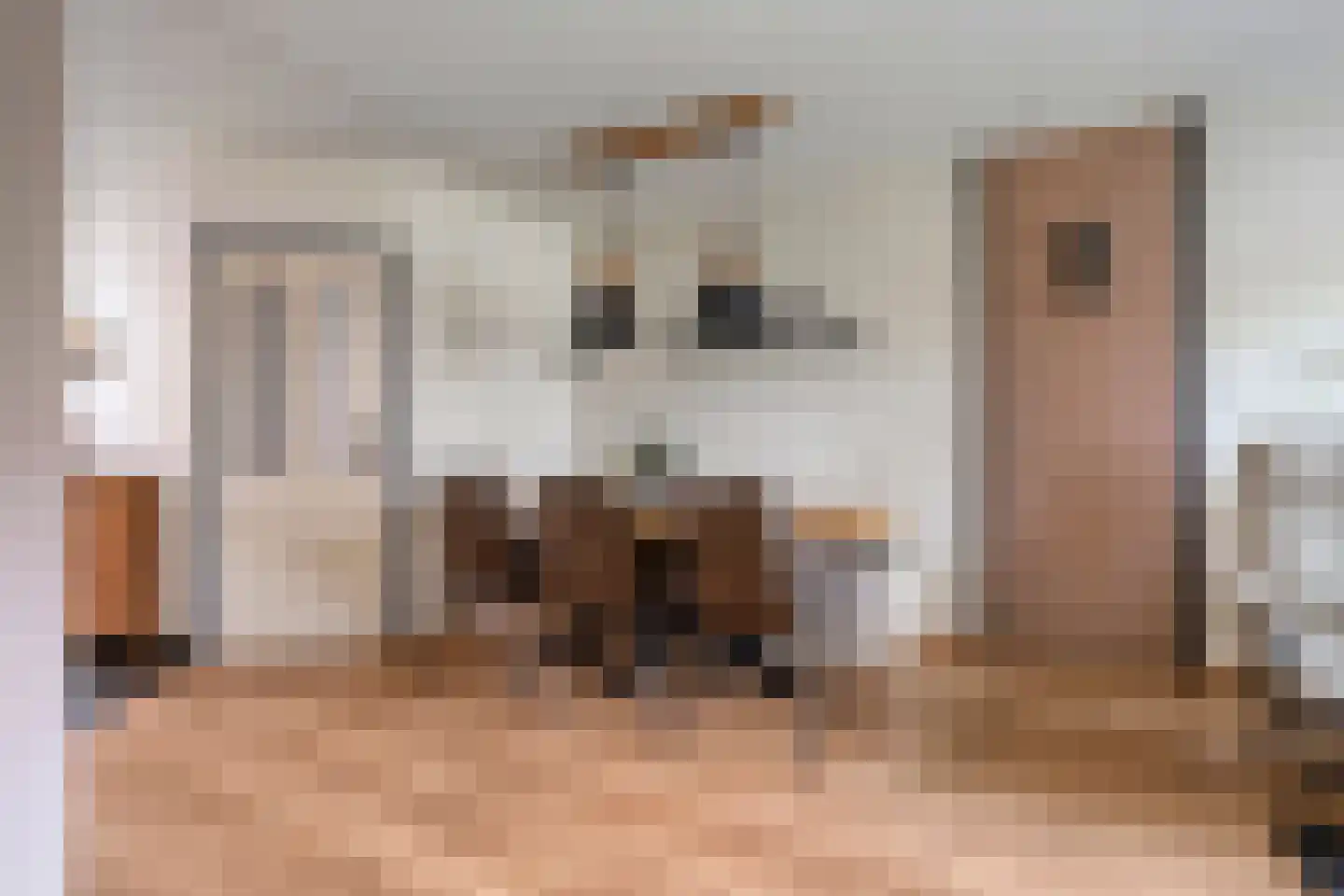 De Vossestaart 9 Dedemsvaart thumbnail 13