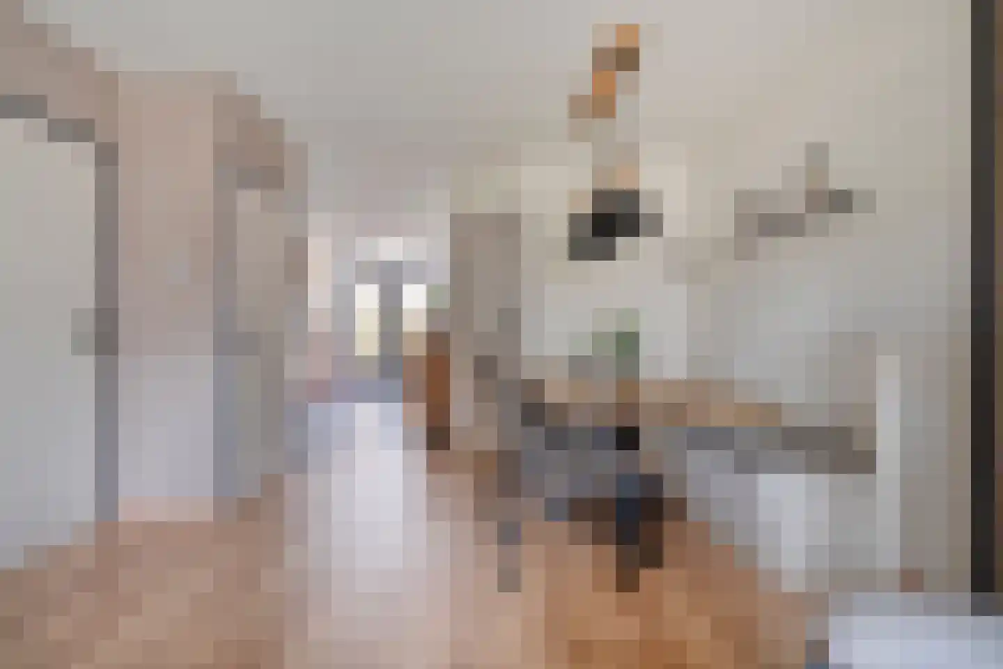 De Vossestaart 9 Dedemsvaart thumbnail 14
