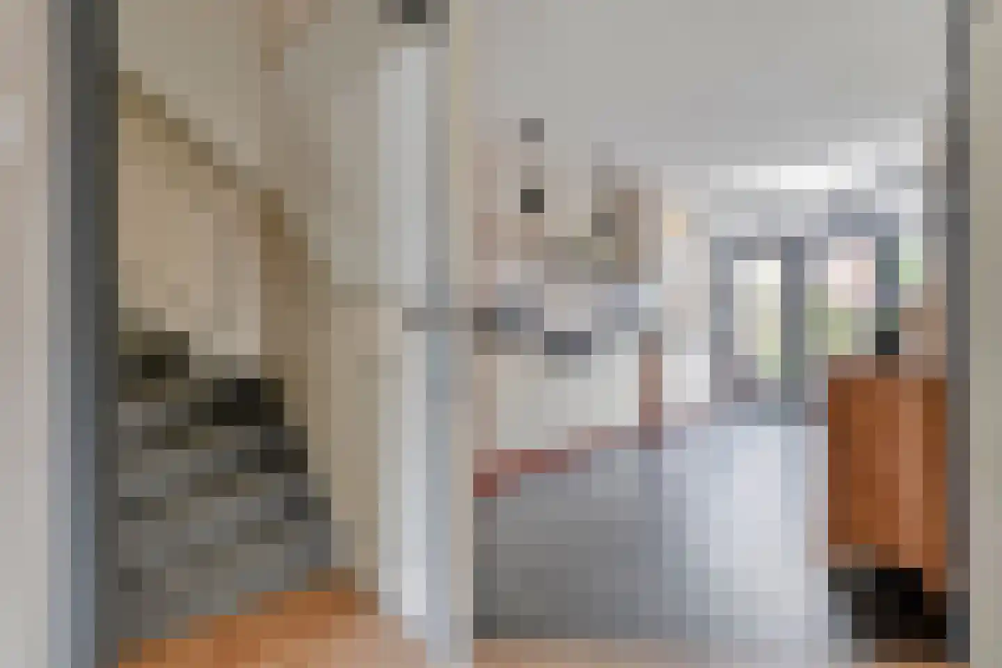 De Vossestaart 9 Dedemsvaart thumbnail 15