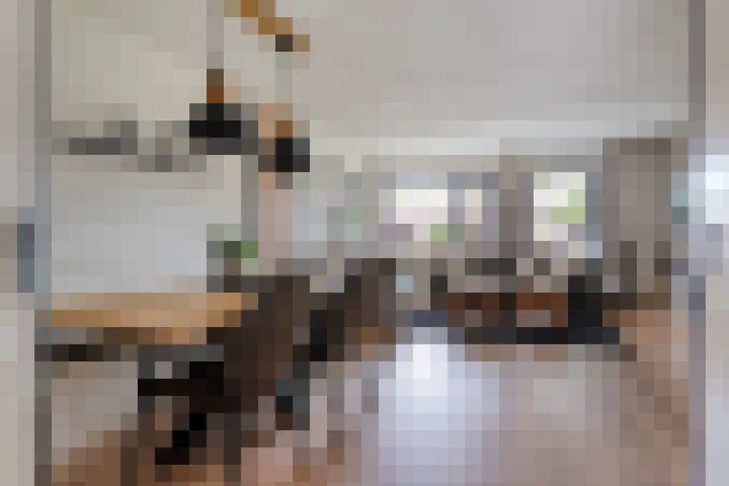 De Vossestaart 9 Dedemsvaart thumbnail 16