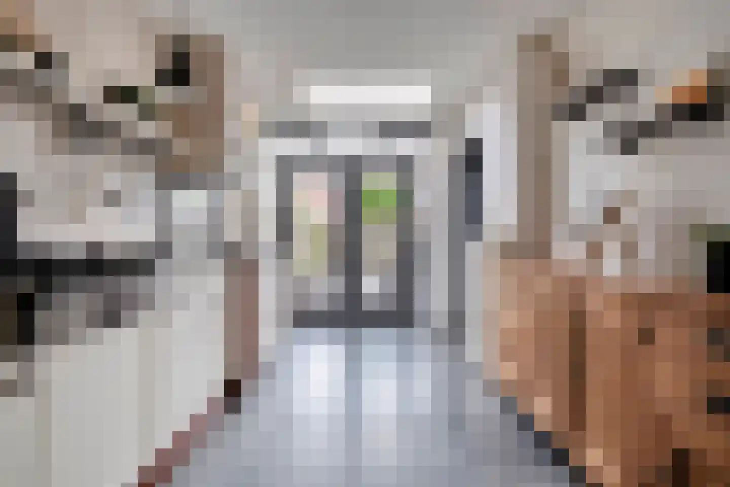 De Vossestaart 9 Dedemsvaart thumbnail 18