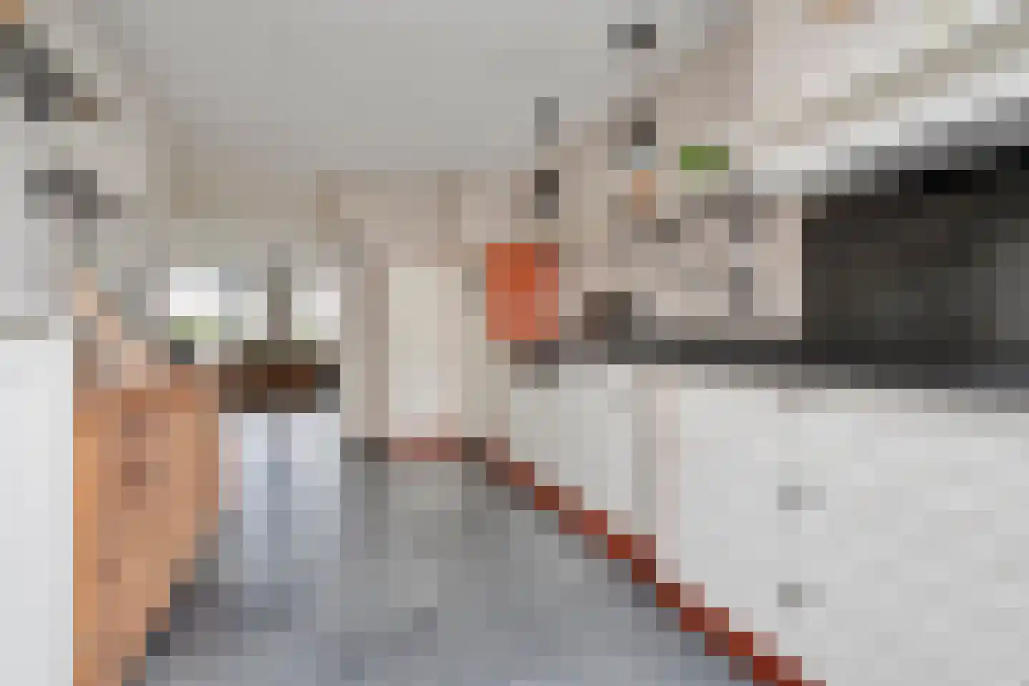 De Vossestaart 9 Dedemsvaart thumbnail 19