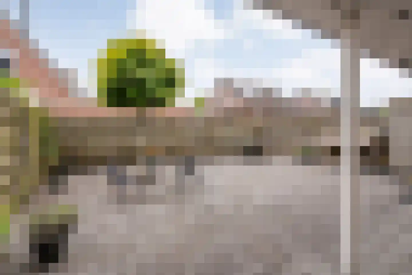 De Vossestaart 9 Dedemsvaart foto 2