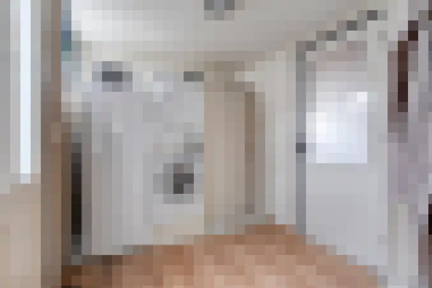 De Vossestaart 9 Dedemsvaart thumbnail 22