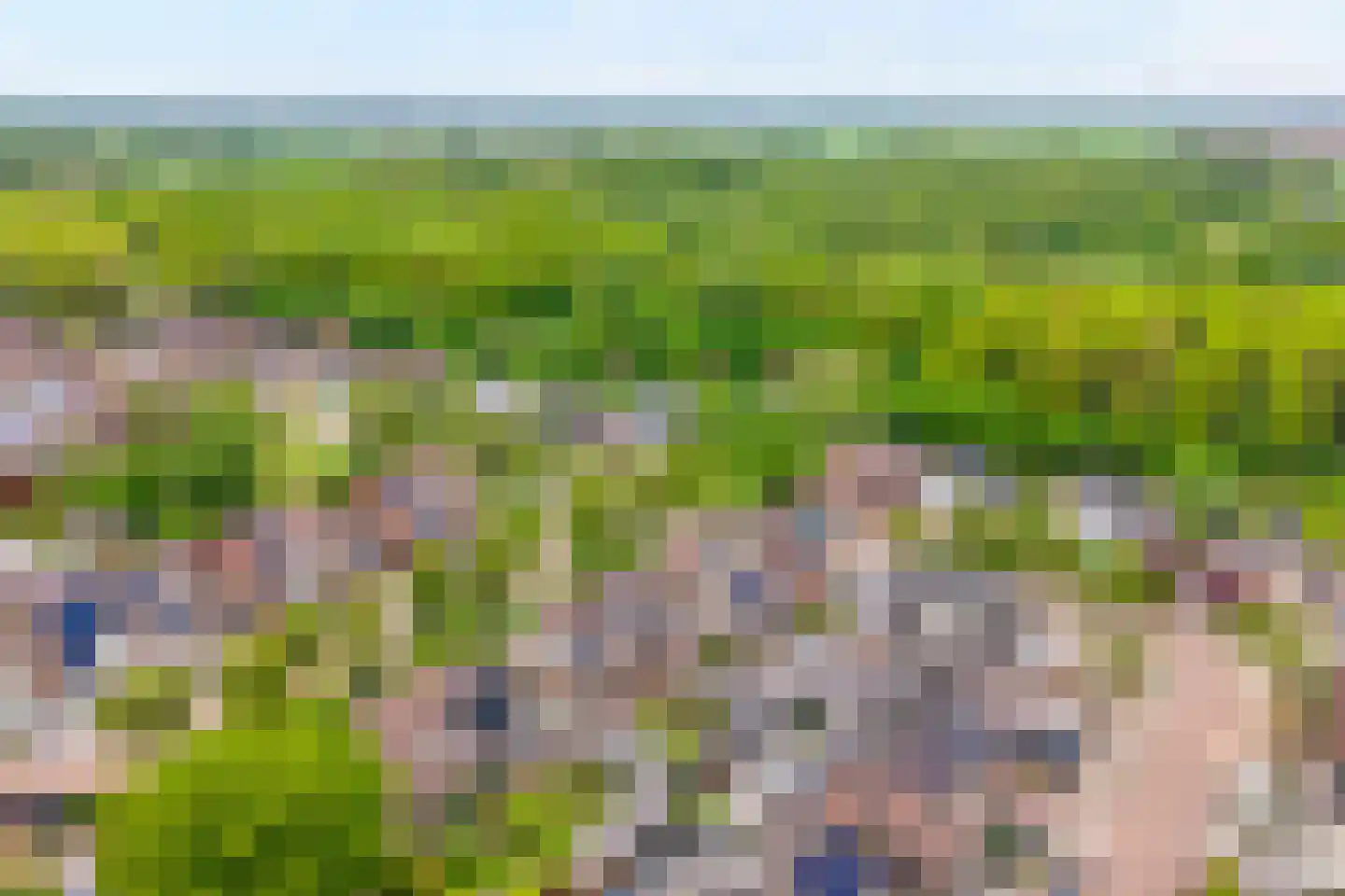 De Vossestaart 9 Dedemsvaart foto 3