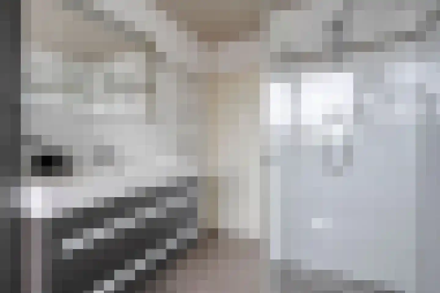 De Vossestaart 9 Dedemsvaart thumbnail 32