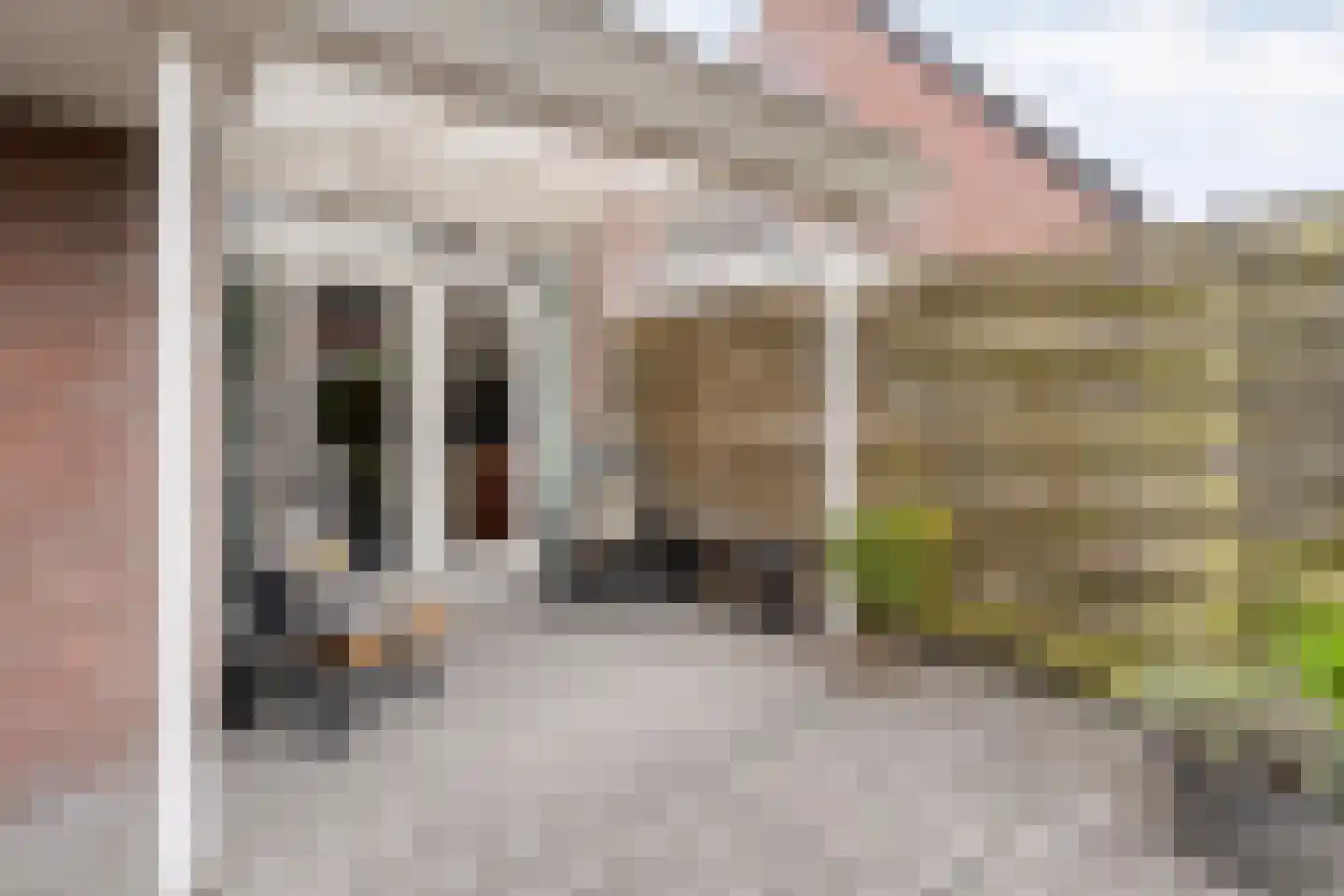 De Vossestaart 9 Dedemsvaart thumbnail 35