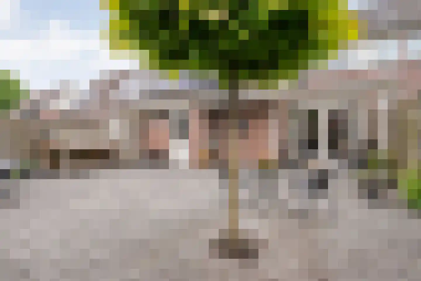 De Vossestaart 9 Dedemsvaart thumbnail 36