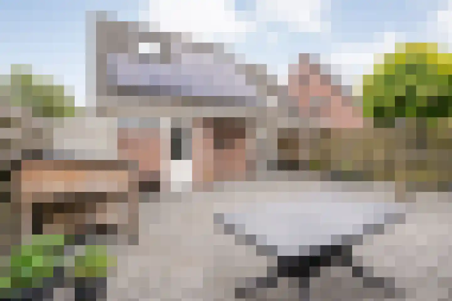 De Vossestaart 9 Dedemsvaart thumbnail 37