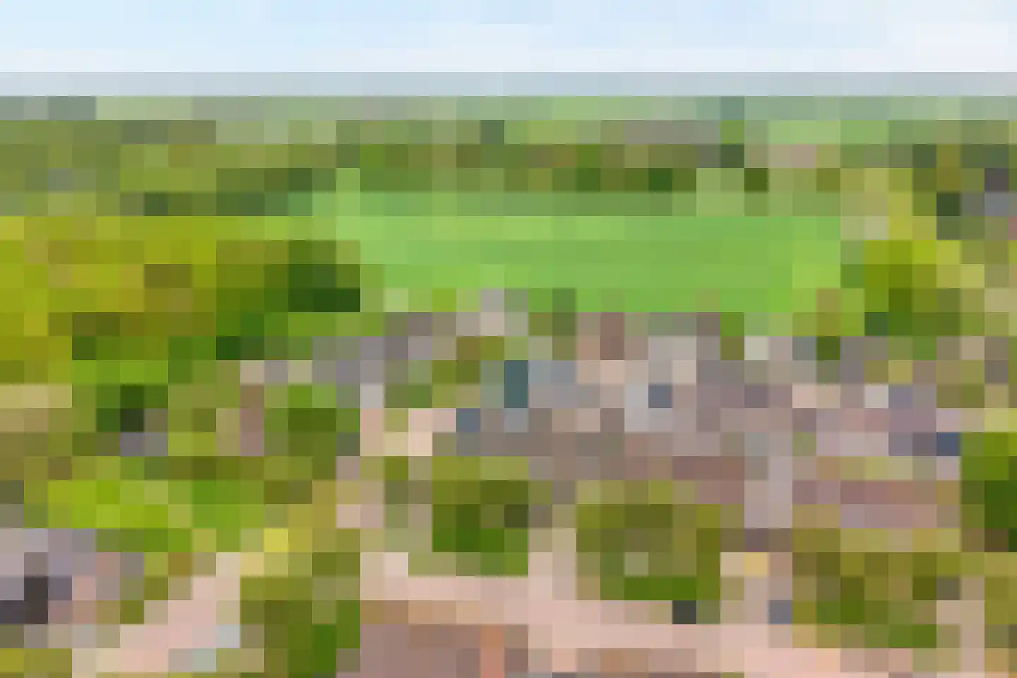 De Vossestaart 9 Dedemsvaart thumbnail 39