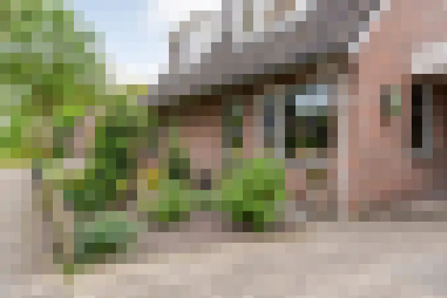 De Vossestaart 9 Dedemsvaart thumbnail 6