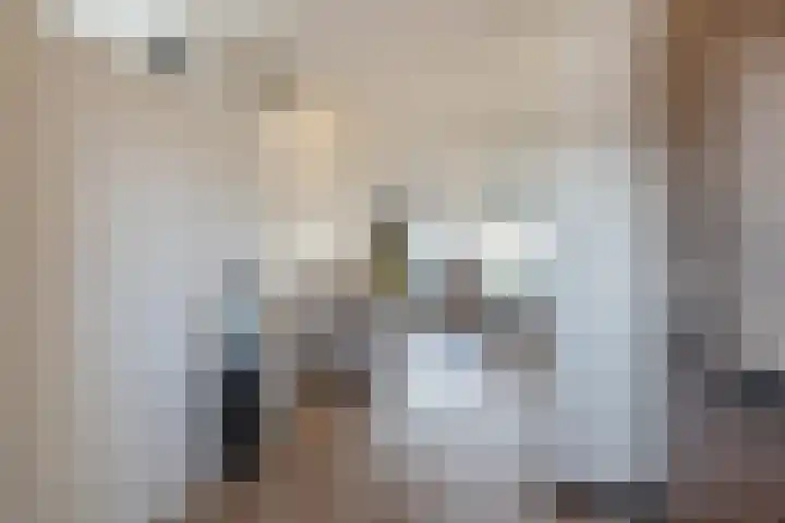 De Voswater 12 Den Haag thumbnail 10