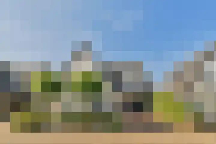 De Vrede 51 dans Uitgeest