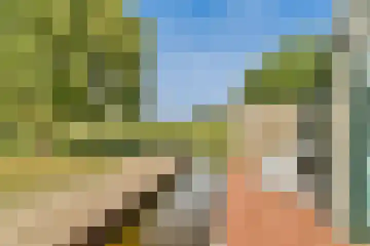 De Vrede 51 Uitgeest thumbnail 20