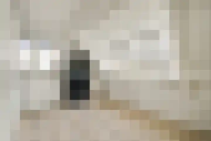De Vrede 51 Uitgeest thumbnail 32