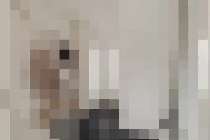 De Vrede 72 Uitgeest thumbnail 16