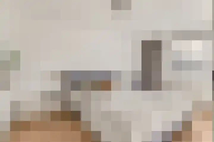 De Vrede 72 Uitgeest thumbnail 20