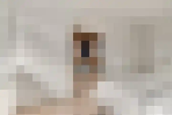 De Vrede 72 Uitgeest thumbnail 22