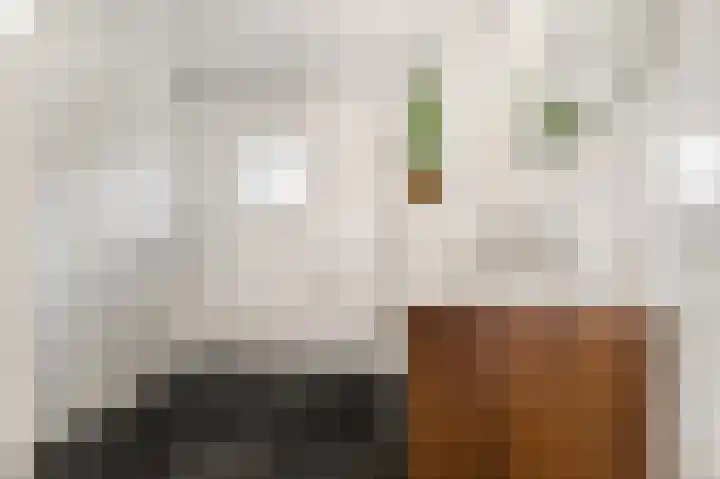 De Vrede 72 Uitgeest thumbnail 29