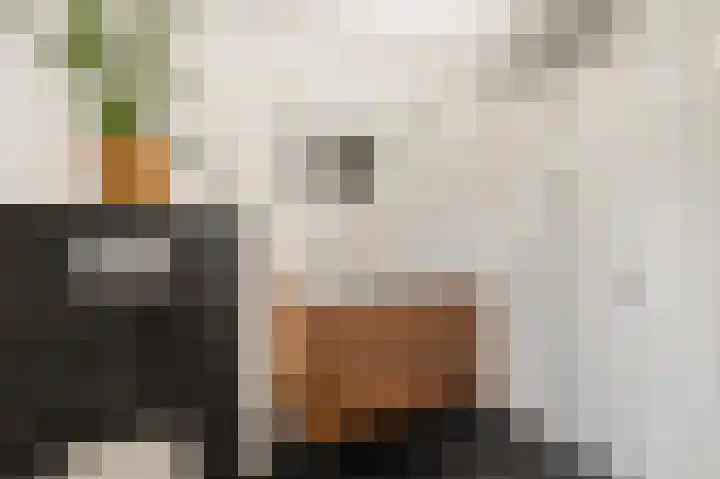 De Vrede 72 Uitgeest thumbnail 30