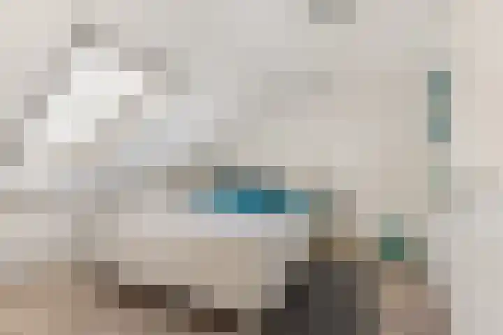 De Vrede 72 Uitgeest thumbnail 37
