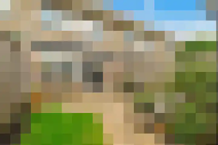 De Vrede 72 Uitgeest thumbnail 40