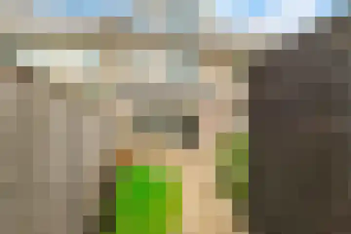 De Vrede 72 Uitgeest thumbnail 43