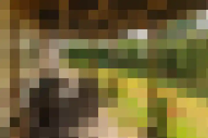 De Vriehof 10 Rohel thumbnail 16