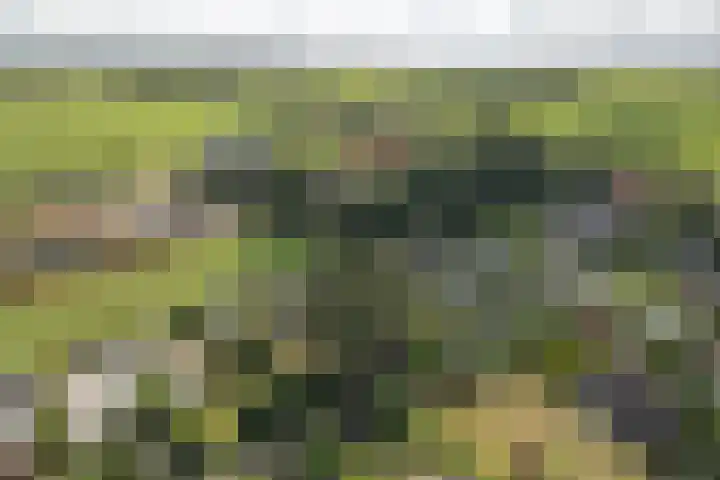 De Vriehof 10 Rohel thumbnail 24