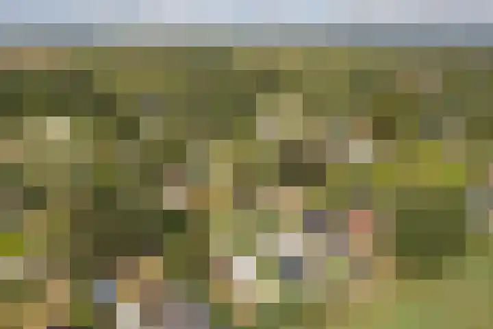 De Vriehof 10 Rohel thumbnail 25