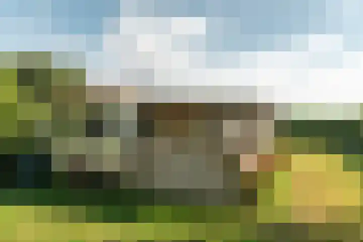 De Vriehof 10 Rohel thumbnail 6