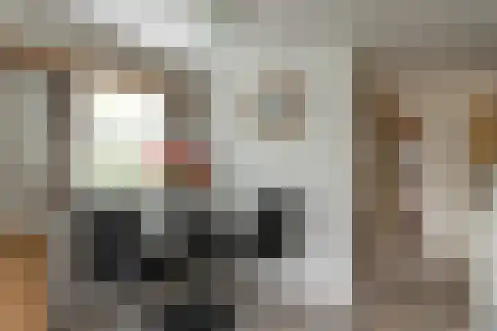 De Vriehof 10 Rohel thumbnail 9