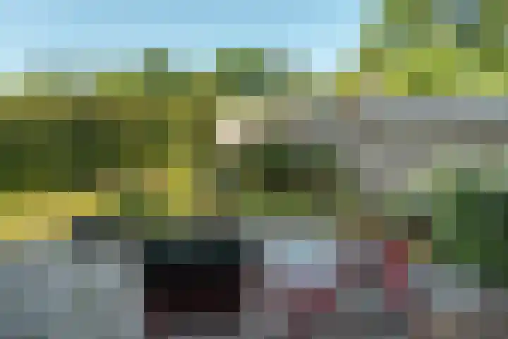 De Vriehof 33 Rohel thumbnail 12