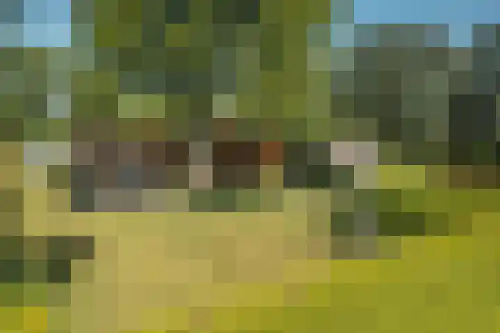De Vriehof 33 Rohel thumbnail 13