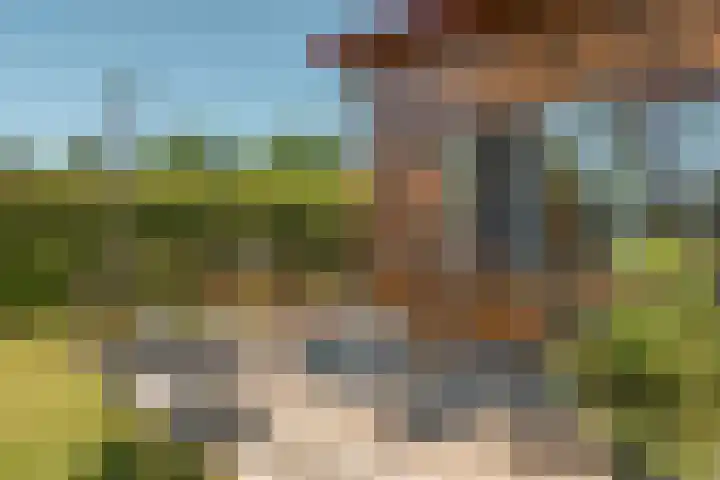 De Vriehof 33 Rohel thumbnail 15