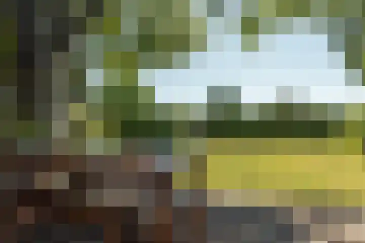 De Vriehof 33 Rohel thumbnail 17