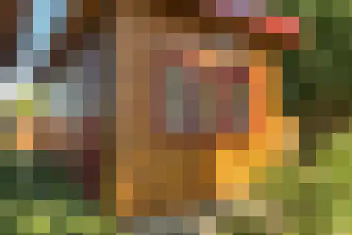 De Vriehof 33 Rohel thumbnail 19