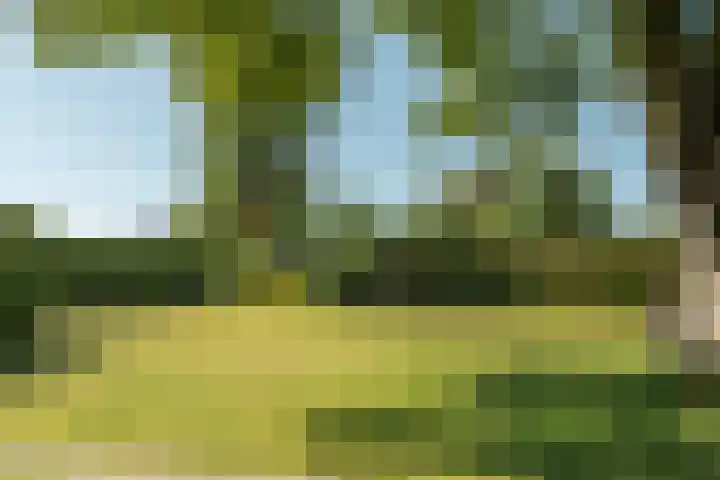 De Vriehof 33 Rohel thumbnail 25