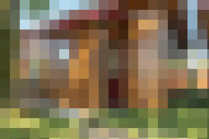 De Vriehof 33 Rohel thumbnail 26