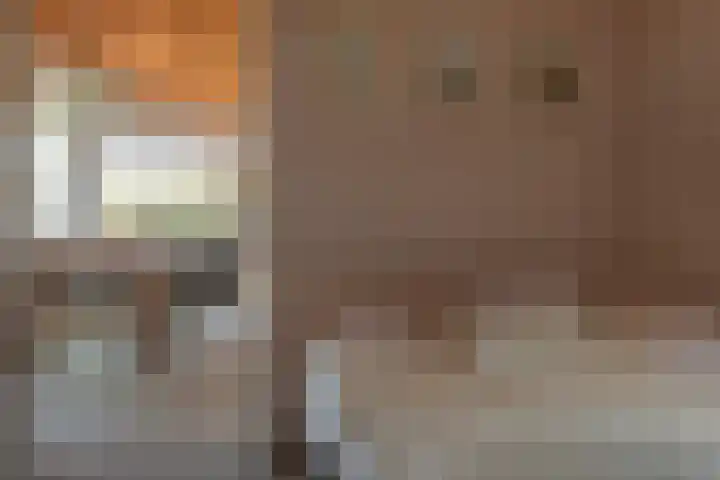 De Vriehof 33 Rohel thumbnail 36