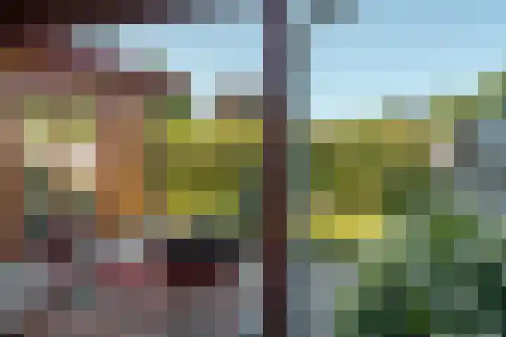 De Vriehof 33 Rohel thumbnail 41