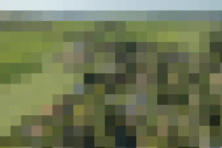 De Vriehof 33 Rohel thumbnail 45