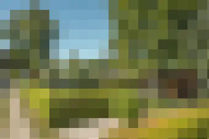 De Vriehof 33 Rohel thumbnail 48